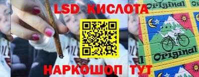 spice Моздок
