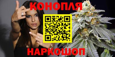 spice Моздок