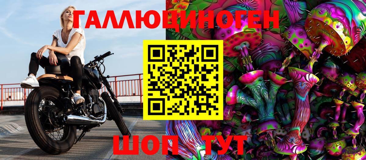 Верхняя Пышма  Галлюциногенные грибы прущие грибы  Вход с VPN 